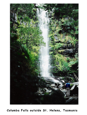 Columba Falls Outside St. Helens Tasmania